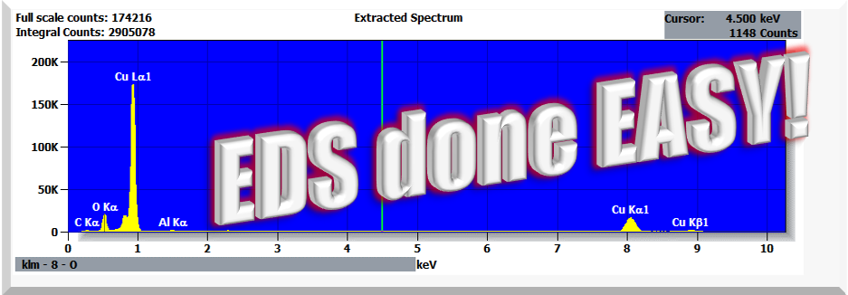 SEM image used for EDS characterization