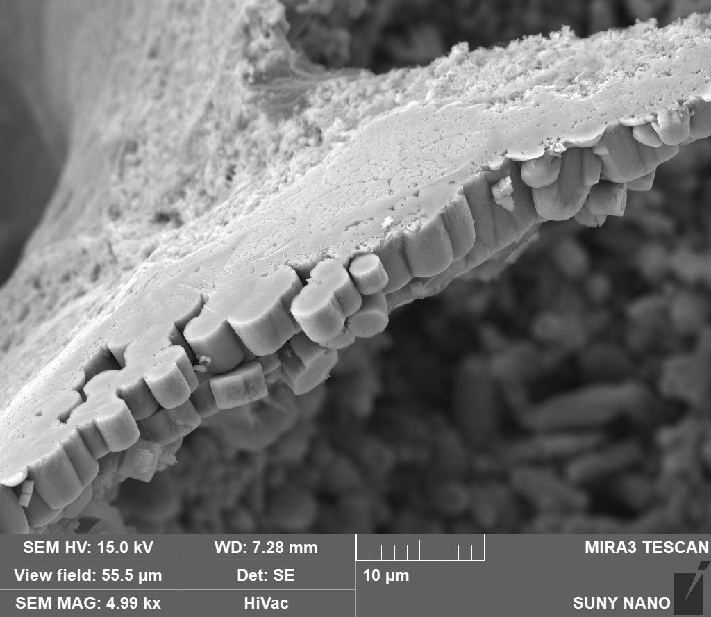 Zinc Oxide #2 Scan 32