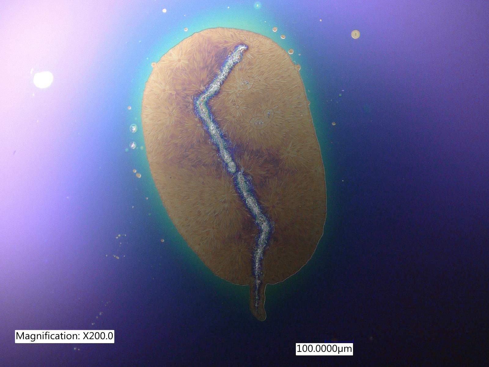 Silicon Oxide SEM II