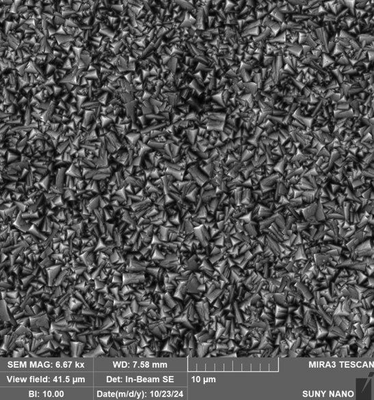 Copper Oxide Pre-Anneal SEM