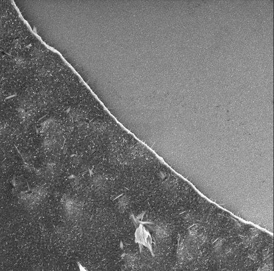 Thin-Film Solar Cell